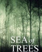 Море деревьев