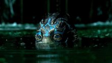 Лучшие фильмы второй половины января 2018 года