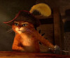 DreamWorks Animation разрабатывает сиквел "Кота в сапогах"